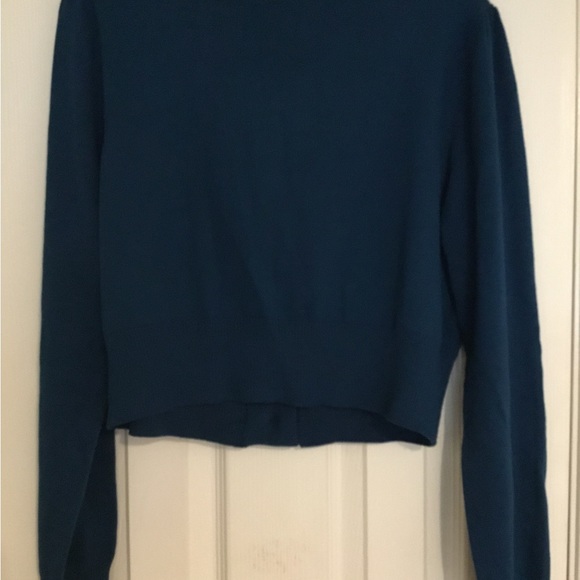 Vintage EUC Lane Bryant Blue Cropped Button Front Long Sleeve Blue Sweater - Picture 4 of 9
